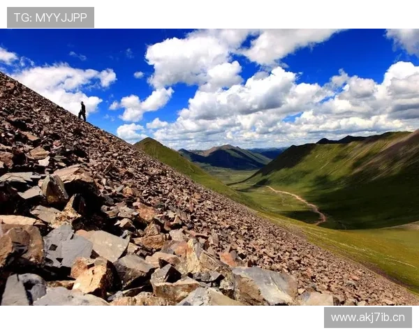 《探索体育世界的无限可能：从竞技场到全民健身的全景视角》 - 副本 - 副本 (2)